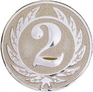 Эмблема 2 место (серебро)