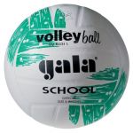 Мяч волейбольный Gala "School"