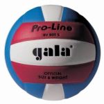 Мяч волейбольный Gala "Pro Line Competition" (цветной) 