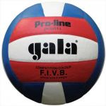 Мяч волейбольный Gala "Pro-Line Colour" (цветной)