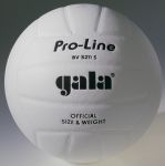 Мяч волейбольный Gala "Pro-Line" (белый)