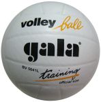 Мяч волейбольный Gala "Training" 